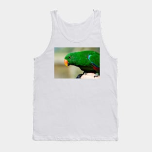 Eclectus Parrot - male Tank Top